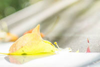 以确保在新 以确保在新