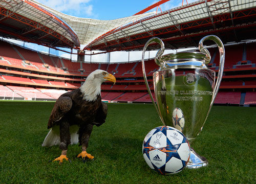 教练通过调 教练通过调